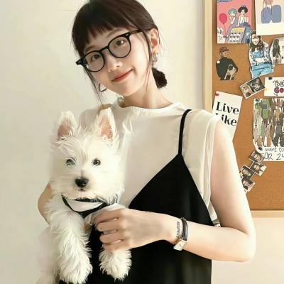 骚狐狸