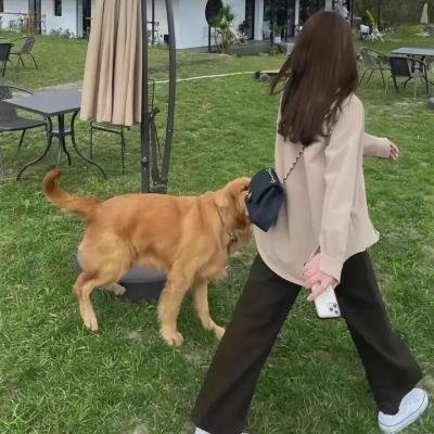 小大人聊正事